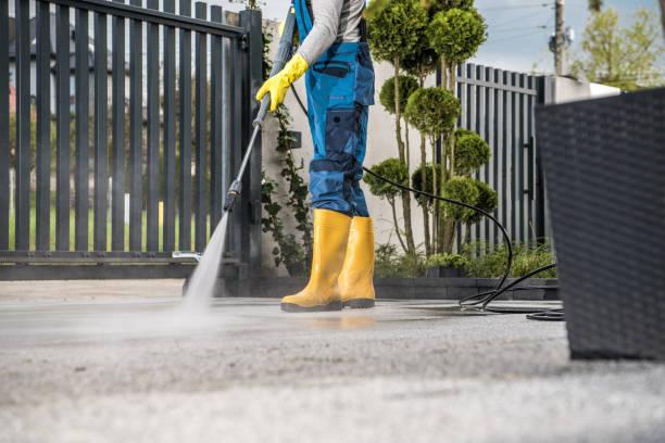 Best Deck Cleaning Services  in Lemoyne, PA