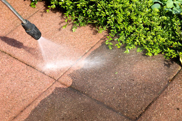 Best Commercial Building Pressure Washing  in Lemoyne, PA